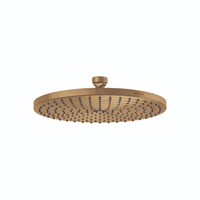  ShowerSolutions Shower Head Shower Accessory - Brushed Gold Optic