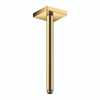  ShowerSolutions Shower Arm Shower Accessory - Polished Gold Optic