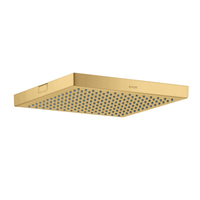  Starck Shower Head Shower Accessory - Brushed Gold Optic