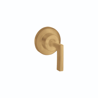  Citterio Volume Control Valve Trim Trim Kit - Brushed Gold Optic