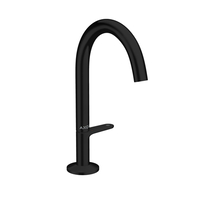  ONE Single Hole Bathroom Faucet - Matte Black
