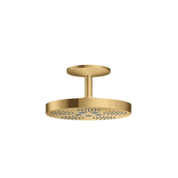  ONE Shower Head Shower Accessory - Brushed Gold Optic