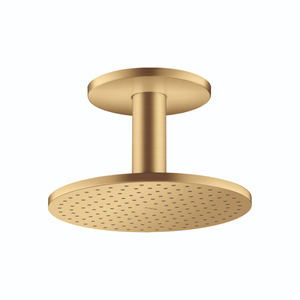 AX35297251 ShowerSolutions Shower Head Shower Accessory - Brushed Gold Optic