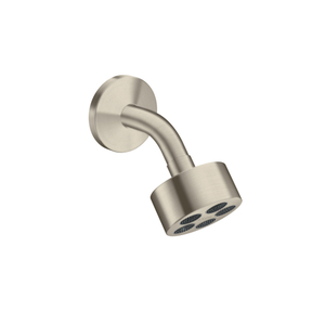 AX48498821 ONE Shower Head Shower Accessory - Brushed Nickel