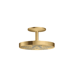 AX48484251 ONE Shower Head Shower Accessory - Brushed Gold Optic