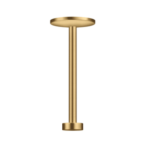 AX48485251 ONE Shower Arm Shower Accessory - Brushed Gold Optic