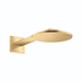 AXOR AX35364251 Brushed Gold Optic Shower Head