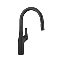 Pull-Out Spray Kitchen Faucet