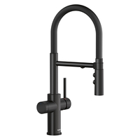  Catris Water Filtration Faucet Kitchen Faucet - Matte Black