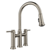 Blanco B443273 Satin Platinum Pull-Out Spray Kitchen Faucet