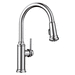 Blanco 442501 Polished Chrome Pull-Out Spray Kitchen Faucet