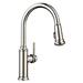 Blanco 442502 Polished Nickel Pull-Out Spray Kitchen Faucet