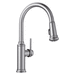 Blanco 442500 PVD Steel Pull-Out Spray Kitchen Faucet