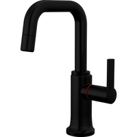 Hot Water Dispensers