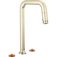 Pull-Out Spray Kitchen Faucet