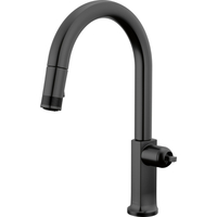 Pull-Out Spray Kitchen Faucet Pull-Out Spray Kitchen Faucet