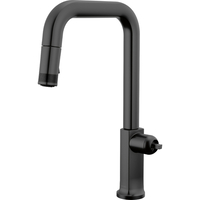 Pull-Out Spray Kitchen Faucet Pull-Out Spray Kitchen Faucet