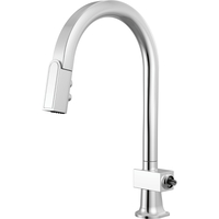 Pull-Out Spray Kitchen Faucet