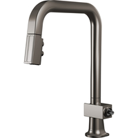 Pull-Out Spray Kitchen Faucet