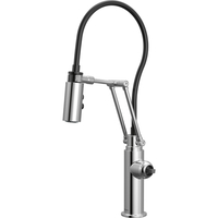 Pull-Out Spray Kitchen Faucet