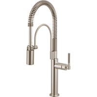  Litze Single Handle Kitchen Faucet - Stainless