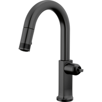 Pull-Out Spray Kitchen Faucet Pull-Out Spray Kitchen Faucet