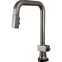 Pull-Out Spray Kitchen Faucet Pull-Out Spray Kitchen Faucet