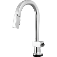 Pull-Out Spray Kitchen Faucet