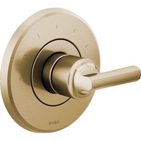 Thermostatic Valve Trim