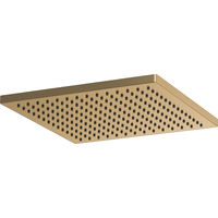  Essential Showers Shower Head Shower Accessory - Brilliance Luxe Gold