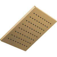  Essential Showers Shower Head Shower Accessory - Brilliance Luxe Gold