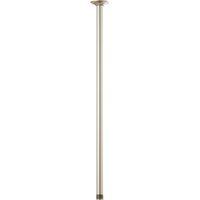  Essential Showers Shower Arm Shower Accessory - Brilliance Brushed Nickel