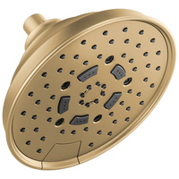  Essential Showers Shower Head Shower Accessory - Brilliance Luxe Gold