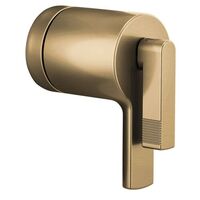  Kintsu Faucet Handles Part - Brilliance Luxe Gold