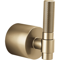  Litze Faucet Handles Part - Brilliance Luxe Gold