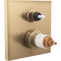 Thermostatic Valve Trim
