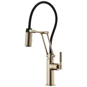 D63243LFGL Litze Pull-Out Spray Kitchen Faucet - Brilliance Luxe Gold