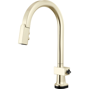D64022LFPNLHP Frank Lloyd Wright Pull-Out Spray Kitchen Faucet - Polished Nickel