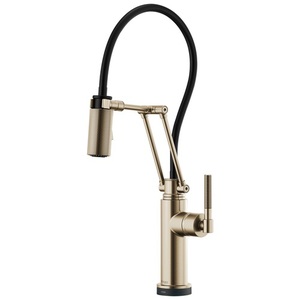 D64243LFGL Litze Pull-Out Spray Kitchen Faucet - Brilliance Luxe Gold