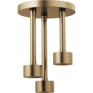 D81335GL Litze Shower Head Shower Accessory - Brilliance Luxe Gold