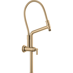 D81376GL Invari Shower Arm Shower Accessory - Brilliance Luxe Gold