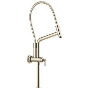 D81376PN Invari Shower Arm Shower Accessory - Brilliance Polished Nickel