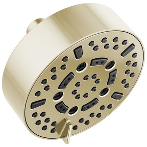 D87292PN Essential Showers Shower Head Shower Accessory - Brilliance Polished Nickel
