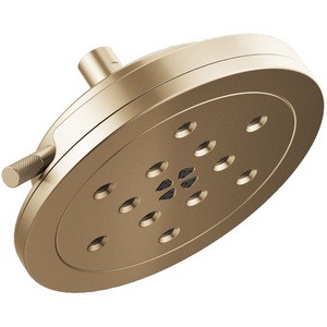 D87435GL Litze Shower Head Shower Accessory - Brilliance Luxe Gold