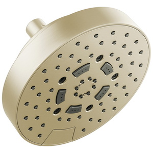 D87492PN Essential Showers Shower Head Shower Accessory - Brilliance Polished Nickel