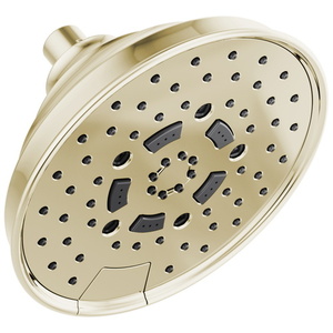 D87495PN25 Essential Showers Shower Head Shower Accessory - Brilliance Polished Nickel