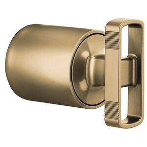 DHK60P06GL Kintsu Faucet Handles Part - Brilliance Luxe Gold