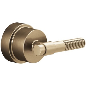 DHL6633GL Litze Faucet Handles Part - Brilliance Luxe Gold