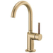 Brizo D61075LFGLLHP/DHLB177GLWD Brilliance Luxe Gold Single Hole Bar Faucet