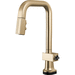 Brizo D64923LFGLLHP Luxe Gold Pull-Out Spray Kitchen Faucet